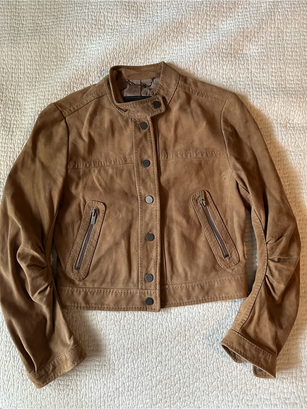 BCBG Women's Cropped Suede Moto Jacket in Gravel